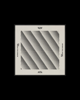 TW-DESIGN & ART DIRECTION